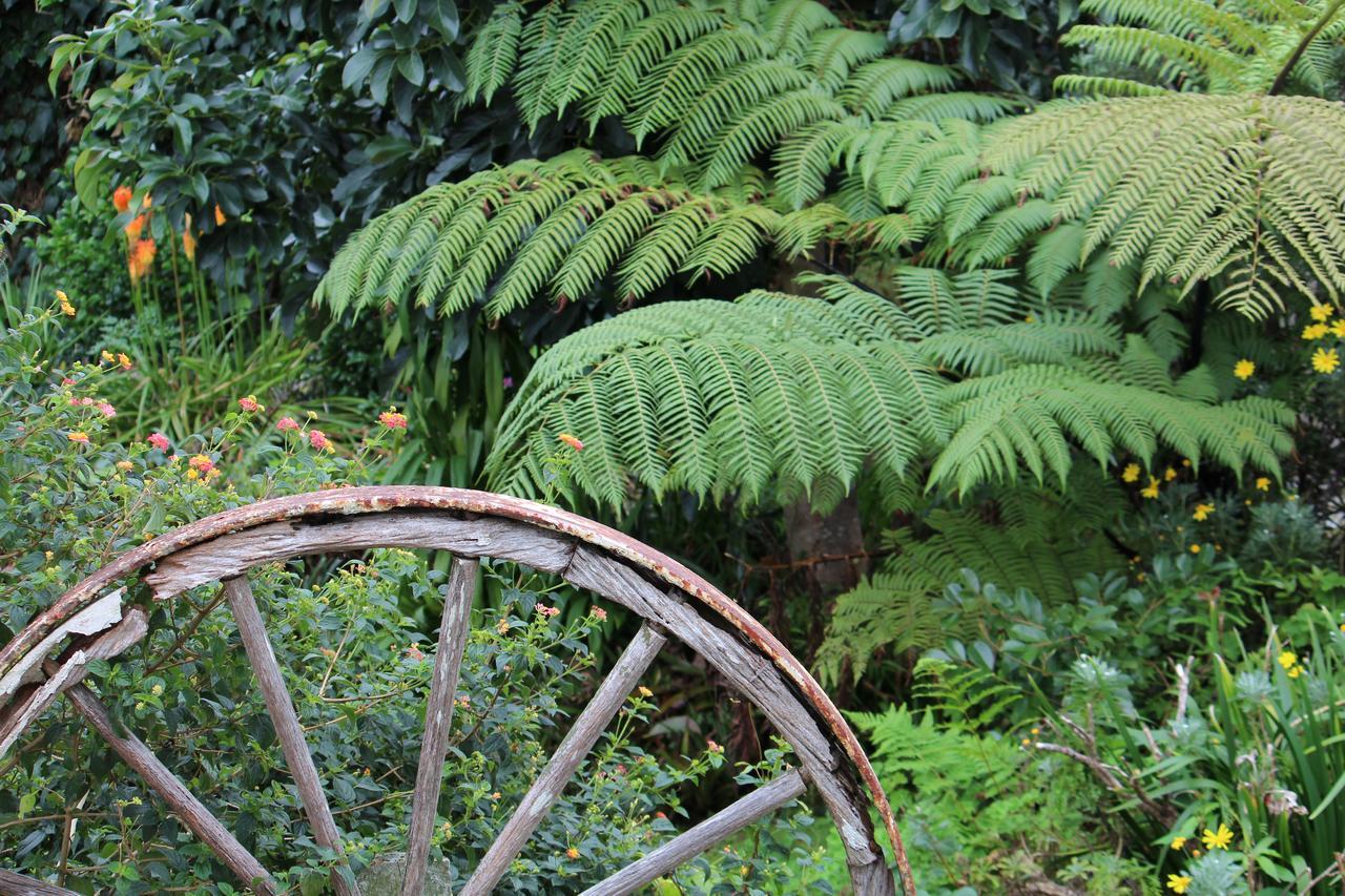 Coromandel Cottages Exteriör bild